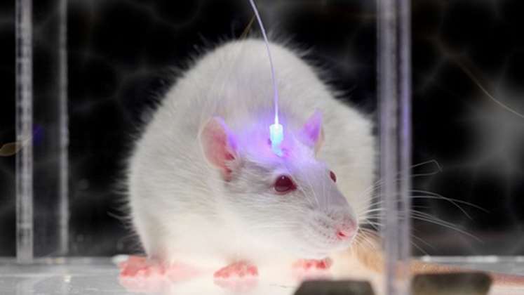 Optogenetics